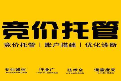 SEM代运营案例分析：精准投放策略解析